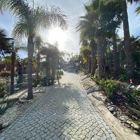Bed & Breakfast Casa Jardim Peniche *